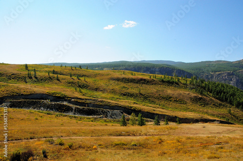 The slope of a high hill overgrown with rare coniferous trees on a warm autumn evening.