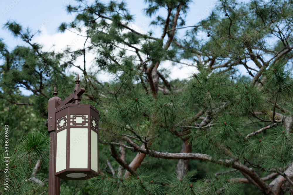 A street lamp with a traditional Korean pattern.