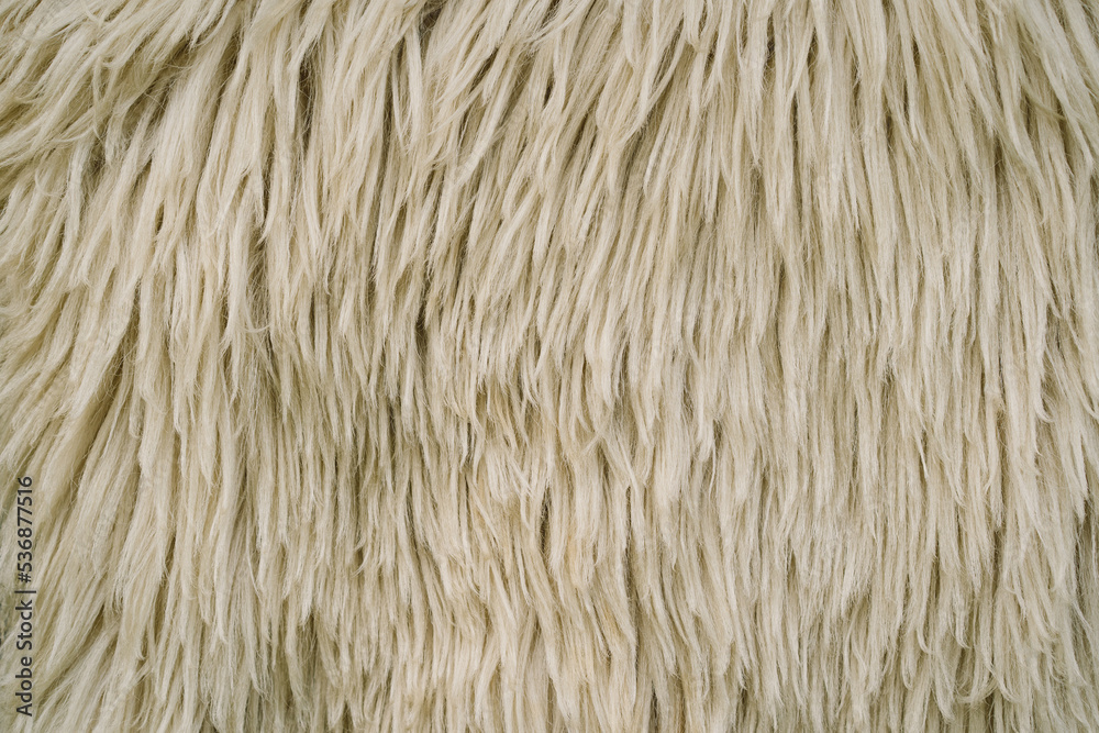 Sheep Rug Texture Sheep skin texture. Sheepskin Background. White wool texture background ...