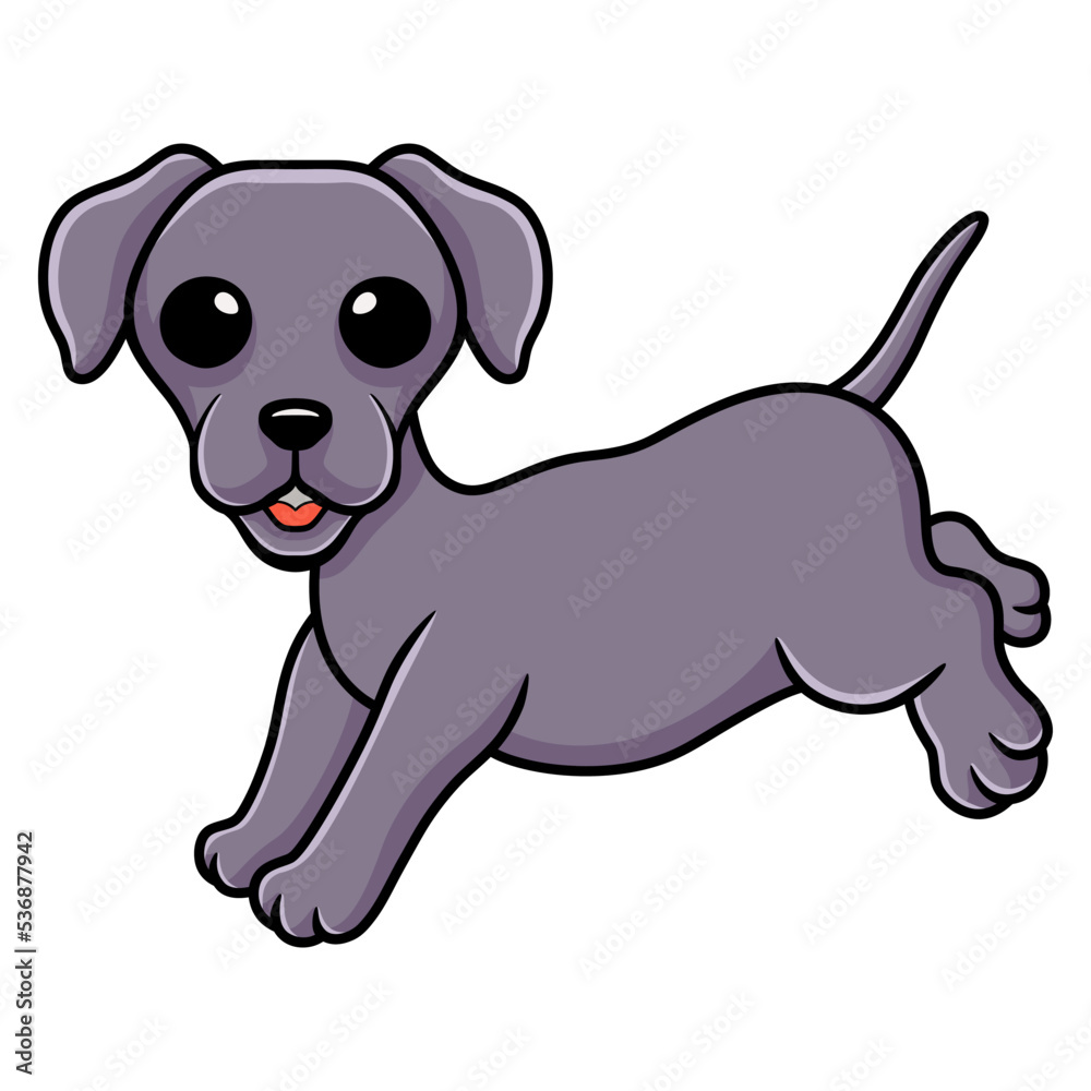 Cute little weimaraner dog cartoon Cute little weimaraner dog cartoon