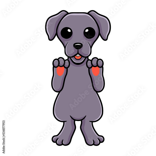 Cute weimaraner dog cartoon standing