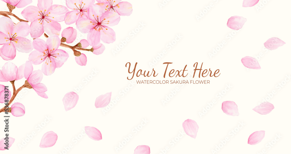 Manual painted of sakura flower or cherry blossom watercolor as background frame. Manual painted of sakura flower or cherry blossom watercolor as background frame.