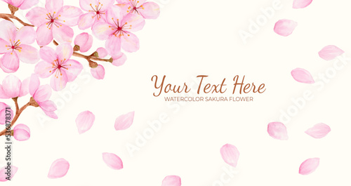 Manual painted of sakura flower or cherry blossom watercolor as background frame.