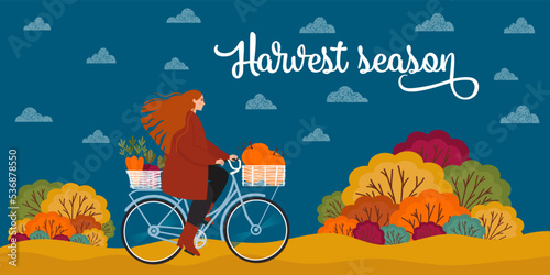 Bright, colorful illustration on an autumn theme, a girl rides a bicycle with a harvest in a basket, a harvest of autumn vegetables. Autumn theme, harvest day
