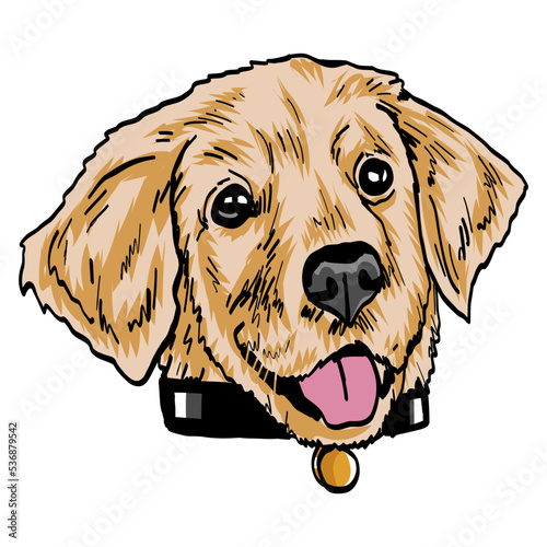 Golden Retriever Dog Puppy Happy Face Drawing Line Art Vector