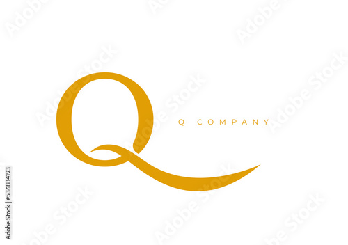 Q COMPANY LOGO