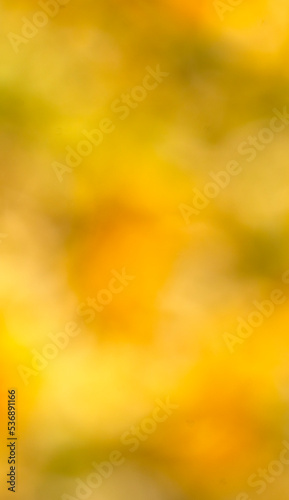 Yellow, autumn, abstract blurred background with bokeh.