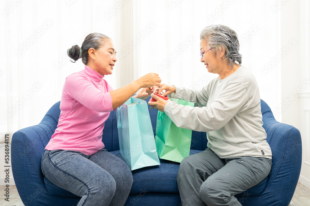 Fototapeta premium Two happy senior women exchange gifts and talking. senior ladies at home in sofa exchange present for holiday or birthday.Real life of elderly woman
