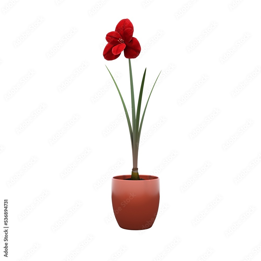decorative flower in a pot isolated on white background, 3D illustration, cg render decorative flower in a pot isolated on white background, 3D illustration, cg render