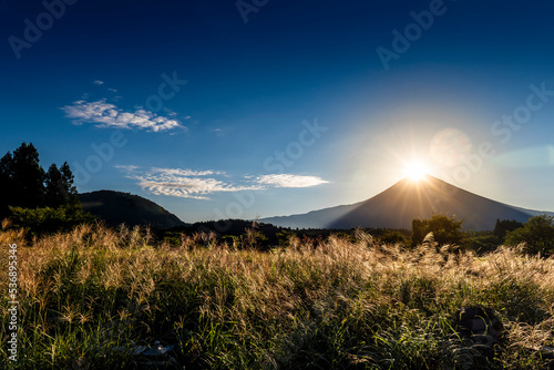 静岡県富士宮市の朝霧高原の朝のススキの草原とダイヤモンド富士