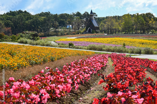 牧歌の里の花壇と教会