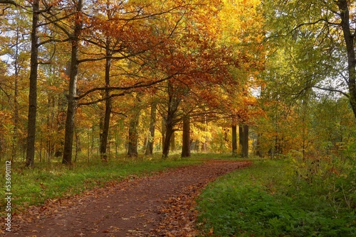 autumn in the park © EVGENII