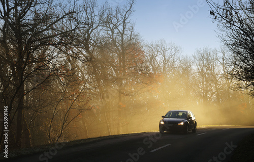 Car driving on forest road in sun beams