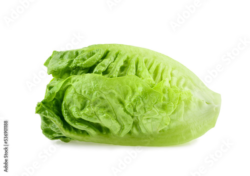 fresh baby cos (lettuce) isolated on white background