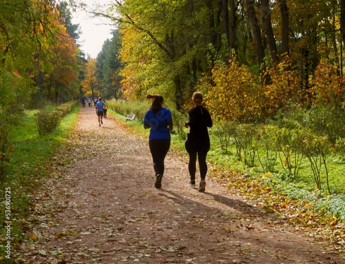 walk in the park