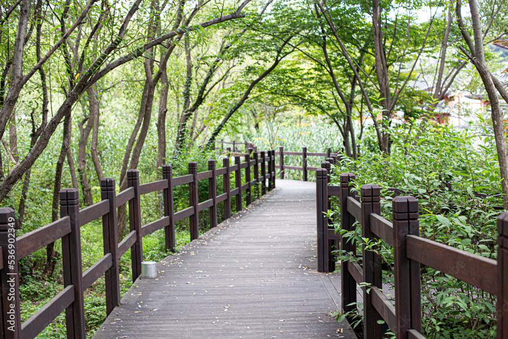 Wood deck road in the forest