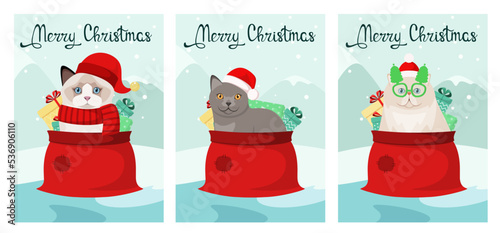 A set of Christmas cards with funny cats and gifts. Cute pets. Cartoon design.
