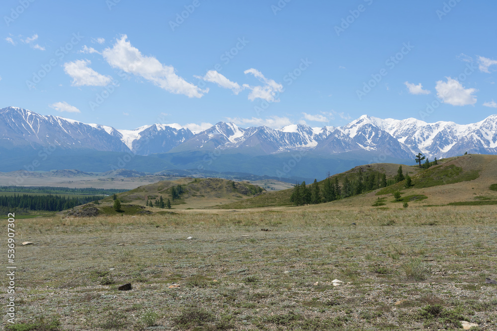 Pasture against a backdrop of snow-capped mountain peaks. Beautiful photo wallpaper of the nature of the Altai Mountains.