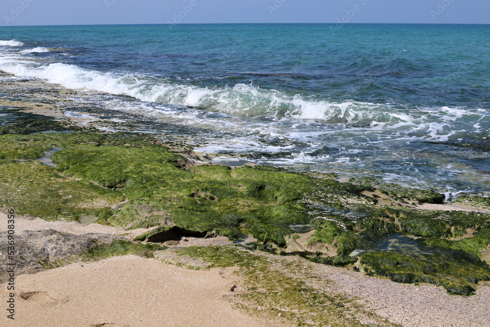 Coast of the Mediterranean Sea in the north of the State of Israel.
