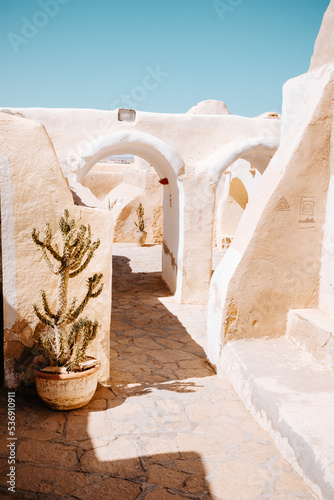 Fototapeta Naklejka Na Ścianę i Meble -  Djerba Tunisie 