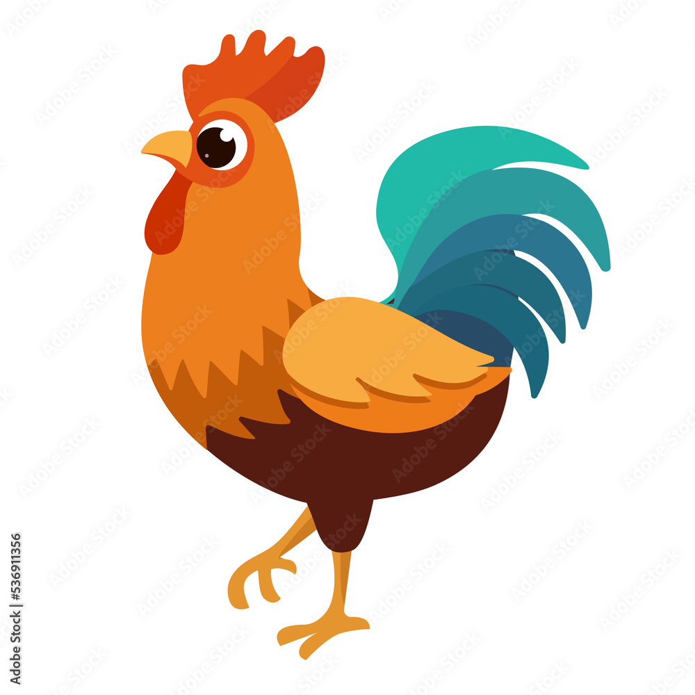 Poultry rooster chicken animal farm bird illustration