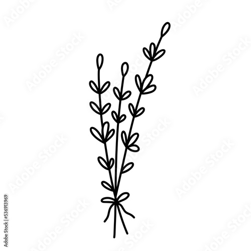 Bunch of herbs isolated on white background. Vector hand-drawn illustration in doodle style. Perfect for decorations, logo, various designs