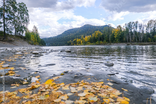 The mountain lake reflects the autumn landscape from the forest with yellow leaves. Stones in a mountain river. 
