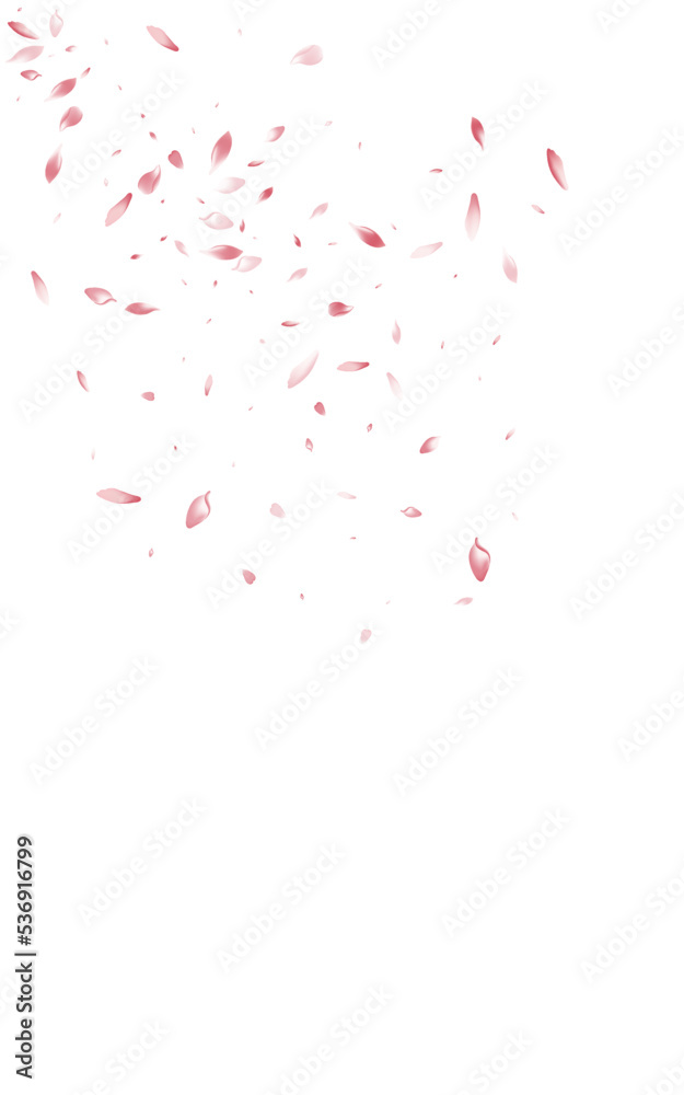 Delicate Flower Fall Vector White Background.