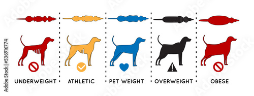 Dog Weight Illustration flat, editable stroke and color fill.