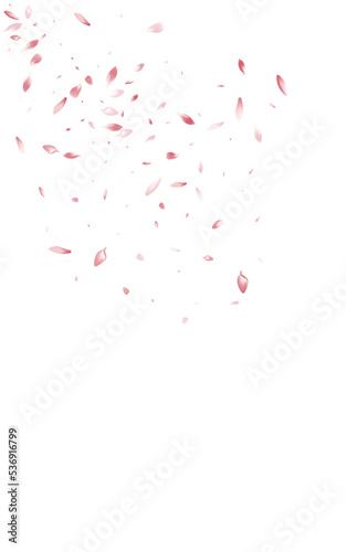 Delicate Flower Fall Vector White Background.