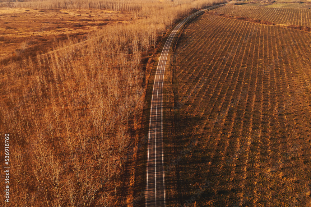 Aerial view of empty road and wooded landscape in autumn afternoon Aerial view of empty road and wooded landscape in autumn afternoon