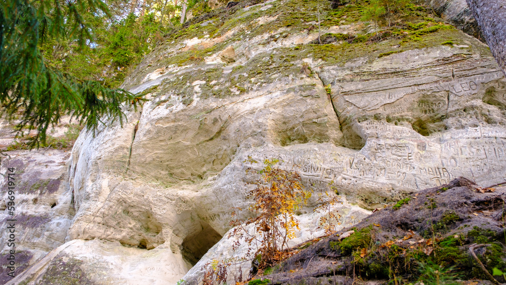 The large sandstone cliffs of Sietiniezis on the banks of the Gauja River in Latvia. tourist nature trail for hiking with wooden stairs. Gauja National Park in the vicinity of Valmiera, Autumn, The large sandstone cliffs of Sietiniezis on the banks of the Gauja River in Latvia. tourist nature trail for hiking with wooden stairs. Gauja National Park in the vicinity of Valmiera, Autumn,