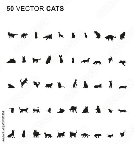 50 Cats - Vector