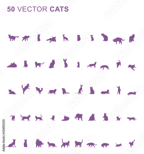 50 Cats - Vector