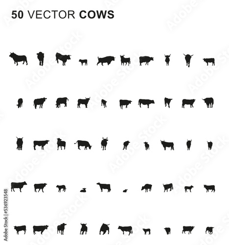 50 Cows - Vector