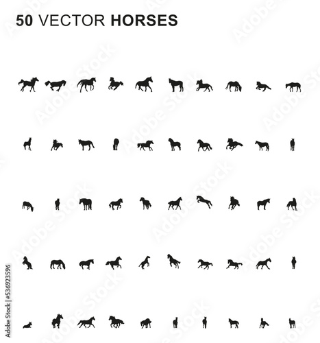 50 Horses - Vector