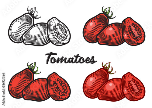 Plum tomatoes; oval, plum-shape type of tomatoes. Hand drawn vector illustration, engraving style. Black and white version, and versions with different coloring styles, isolated on white background.
