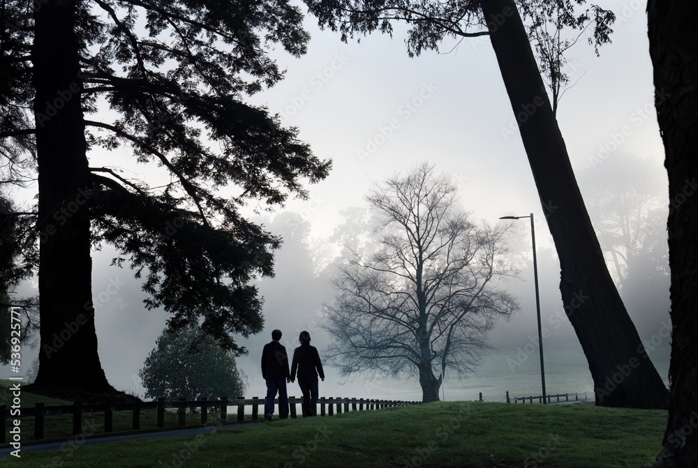 Couple walking in the fog among big trees in a park, Hamilton Lake, New Zealand.