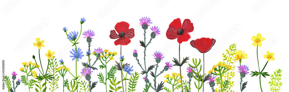 Wild herbs. Wildflowers in summer. Red poppies, cornflowers, forget-me-nots, yellow buttercups, ferns Wild herbs. Wildflowers in summer. Red poppies, cornflowers, forget-me-nots, yellow buttercups, ferns