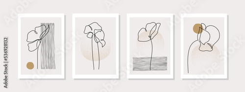 Botanical floral collection. Set of illustration for summer prints