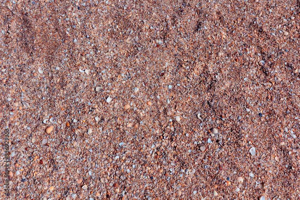 Top view of sandy beach with small shells, summer background Top view of sandy beach with small shells, summer background