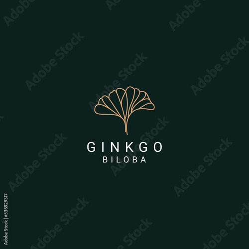 Ginkgo logo desing icon vector