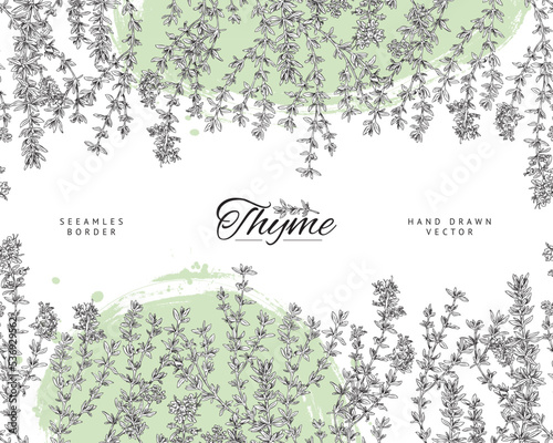Seamless border with hand drawn monochrome thyme and abstract green shapes sketch style