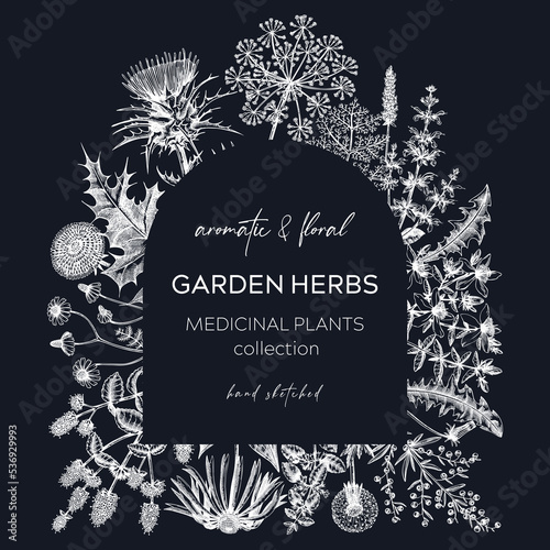 Vintage herb wreath on chalkboard. Aromatic plants design in sketched style. Herbal tea ingredients. Hand drawn herb banners for cosmetics, perfumery, herbal medicine. Floral card