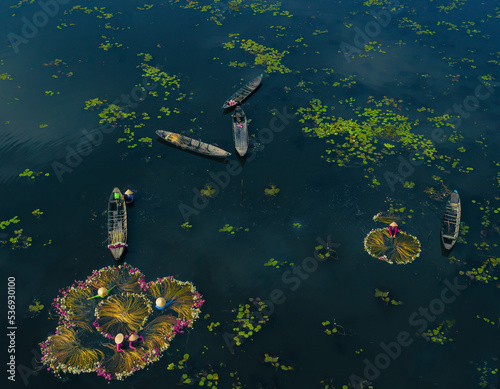 Photos water-lily