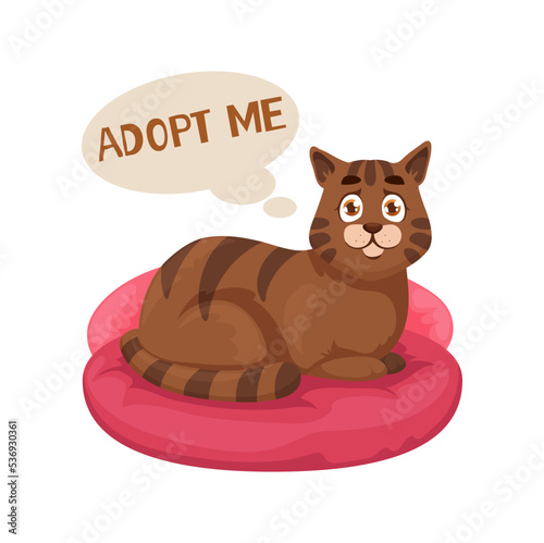 Animals adoption, isolated vector cat with plaintive look lying on bedding asking adopt me. Care and love homeless animals, shelter for lost pets, kittens distribution fair, take a friend promotion