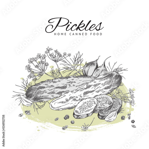 Pickles home canned food banner or card sketch vector illustration isolated.