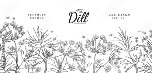Dill plant seamless border, hand drawn sketch vector illustration on white background.