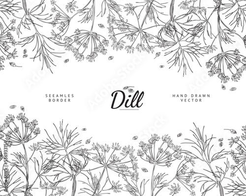 Hand drawn dill herb seamless border, monochrome sketch vector illustration on white background.