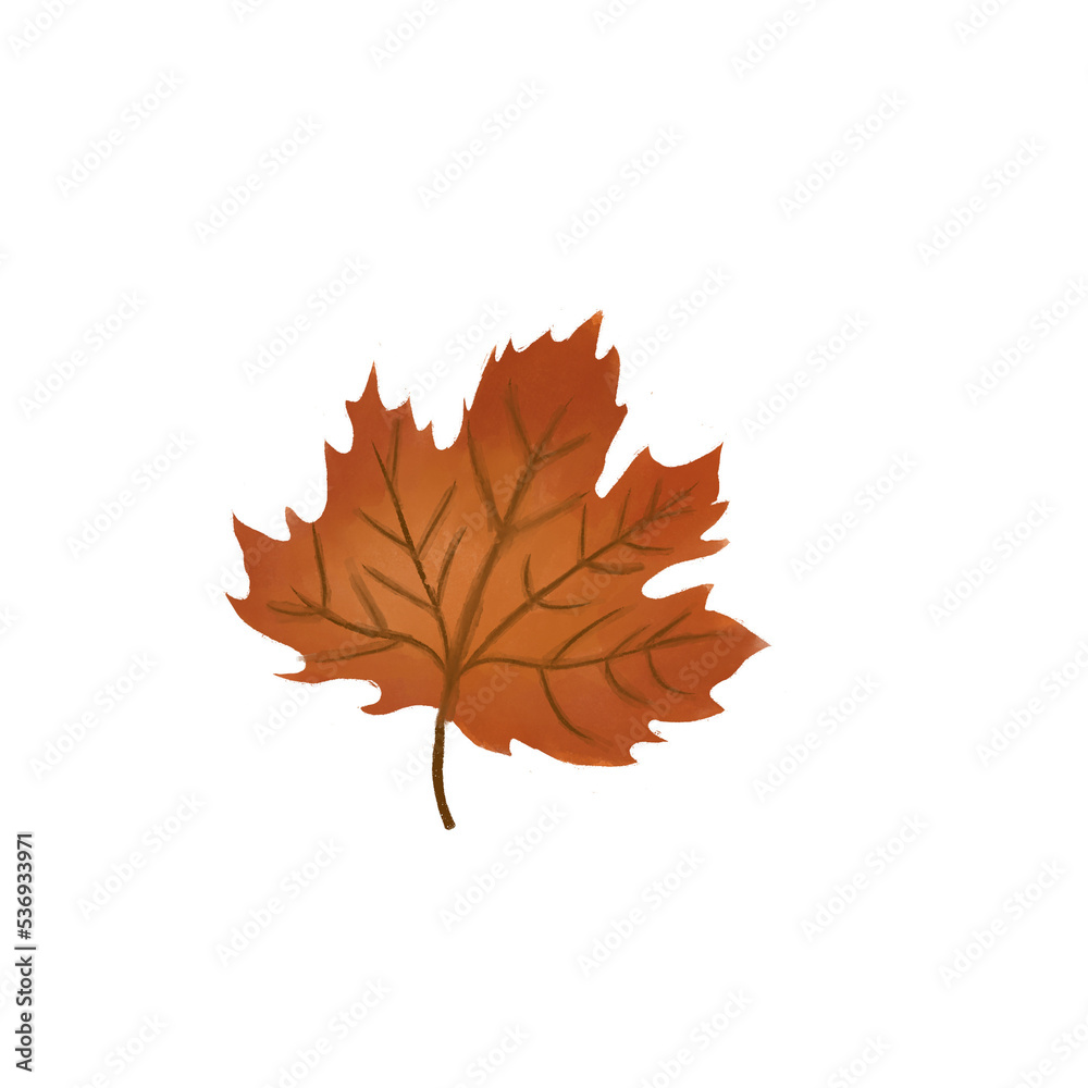 Obraz premium Autumn Leaf